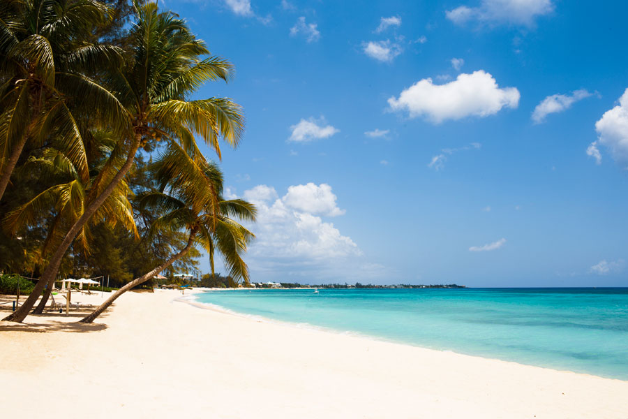Top Skills Employers in the Cayman Islands